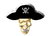 spinning pirate skull